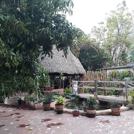 Bed and Breakfast El Chac Mool Santa Elena Екстер'єр фото