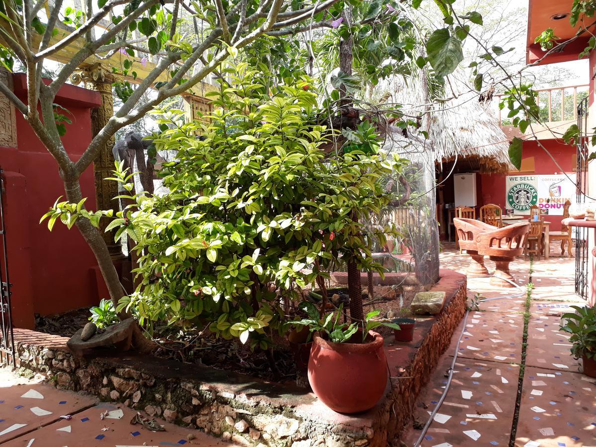 Bed and Breakfast El Chac Mool Santa Elena Екстер'єр фото